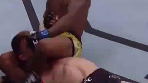 Never Give Up
