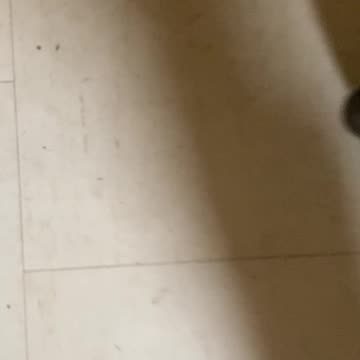 Kettle bell workout 1