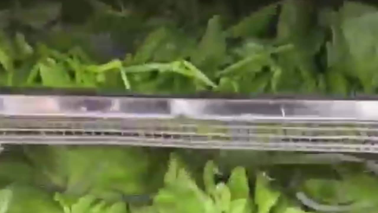 food drying box