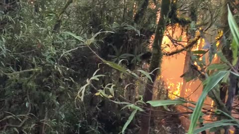 Golden Hour in Gunung Ratai Indonesia