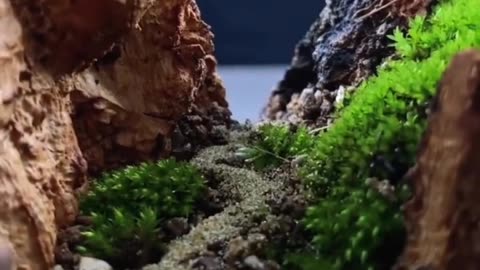WONDERFUL HANDCRAFT #viral
