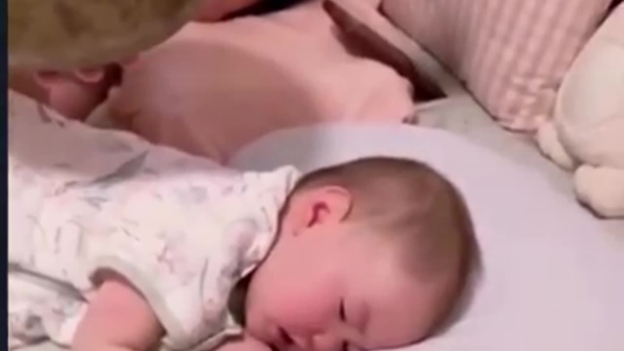 VIBRATIONAL ENERGY IS EVERYTHING