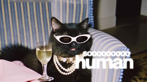 🎬 VEED Cyber Monday Mega Deal