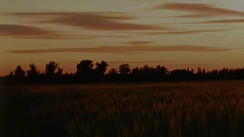 🙏✨ Daily Devotion | A Prayer for Strength & Guidance | InGodWeTrustDaily