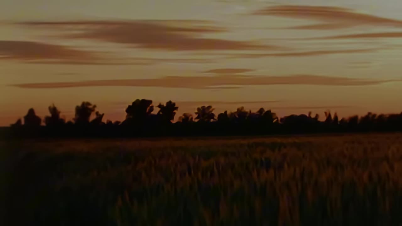 🙏✨ Daily Devotion | A Prayer for Strength & Guidance | InGodWeTrustDaily