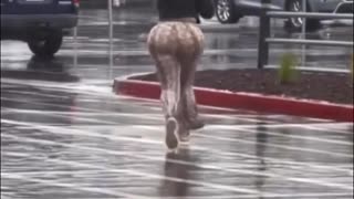 I'm Jealous Of The Rain 🍑💦