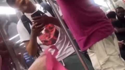 Diversity Is Why Public Transportation Is Dangerous