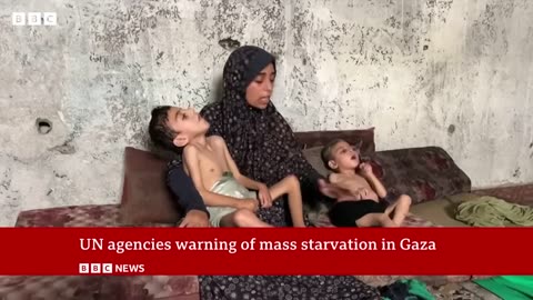 Hunderds of Israeli ex- officials appeals to Trump to help end Gaza War
