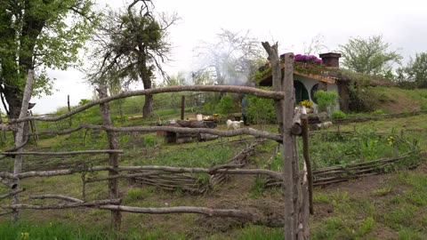 Morel Mushrooms- Harvesting and Cooking