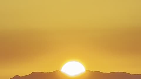 Sunrise Savvy