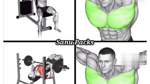 3 Excersize body and Chest.