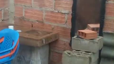 Caída de techo en Cerros de Albornoz