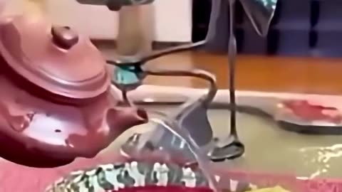 🤯✨ You Won't Believe How This Baby Gator Reacts To Water! | FeedMyCuriosity