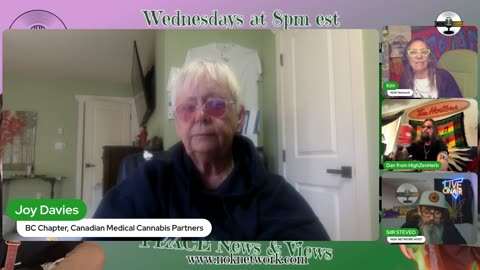 Peace News and Views Ep171 with guests Dan Borchardt & Joy Davies
