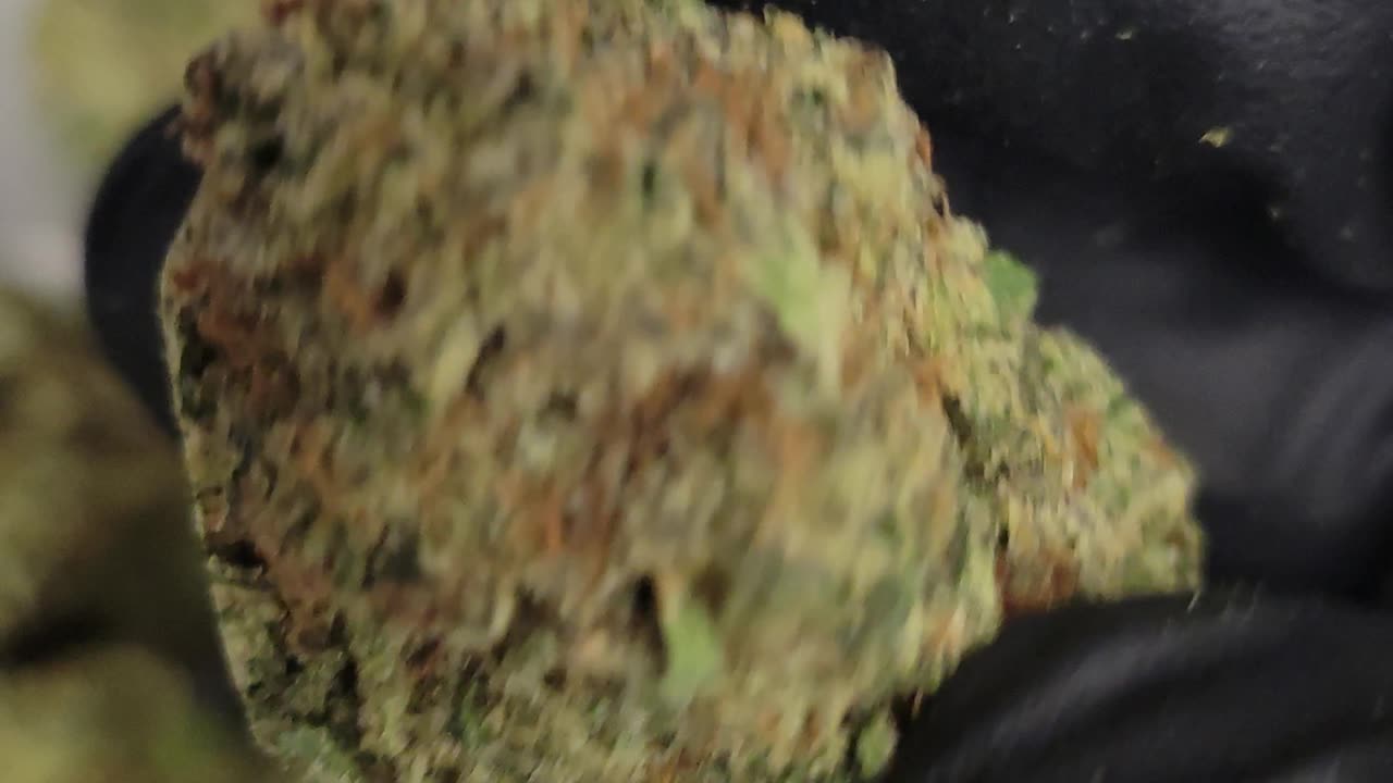 Guava Cookies THC Flower