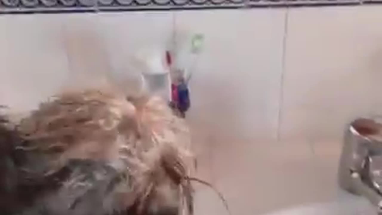 El agua salió negra
