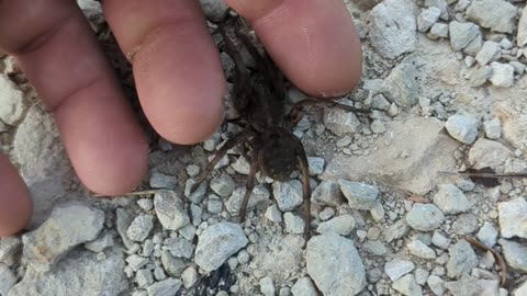 His name is George
