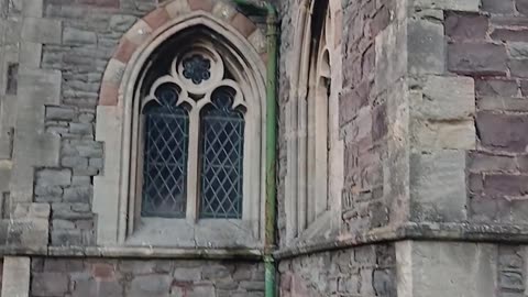 Suddenly inspired to take a foot right beside me of this ?