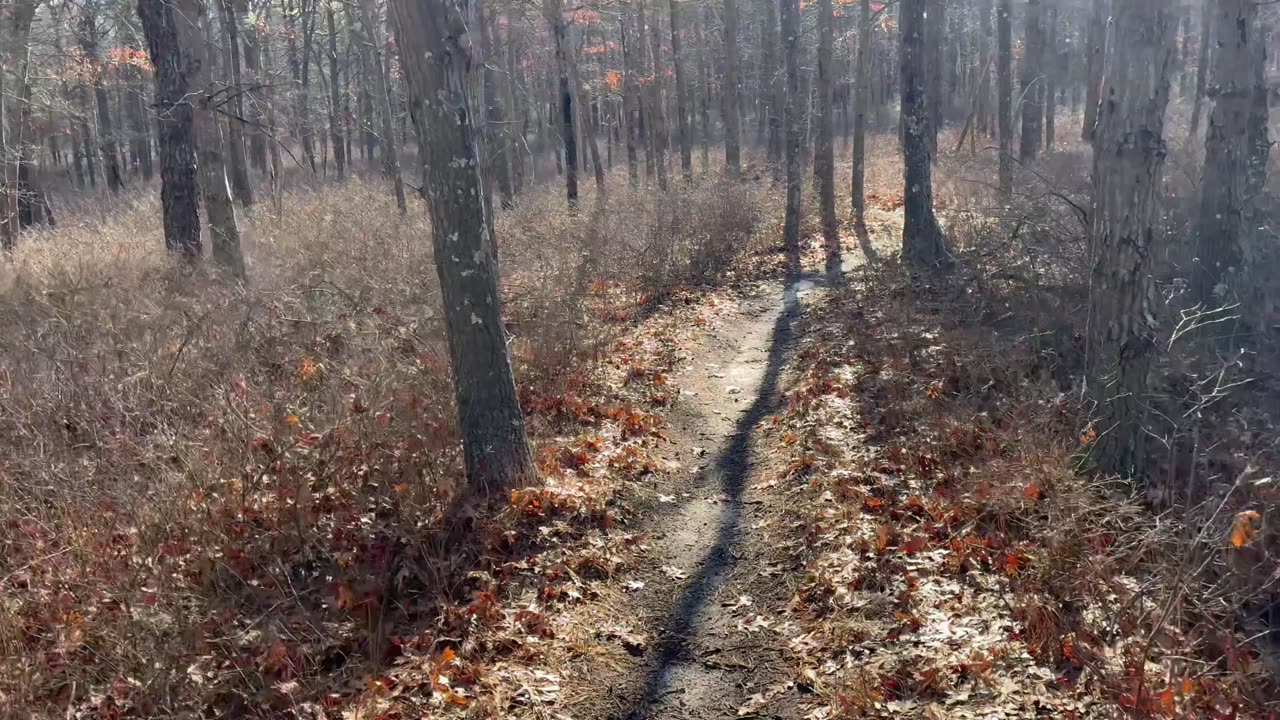 Hiking, great morning!