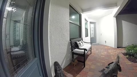 Door to door solicitation is just different in Florida. 🐊
