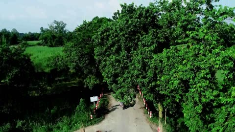 Paap Kahini - পাপ কাহিনি