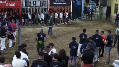 TOROS EMBOLADOS 18 mayo FIESTAS SANTA QUITERIA 2025