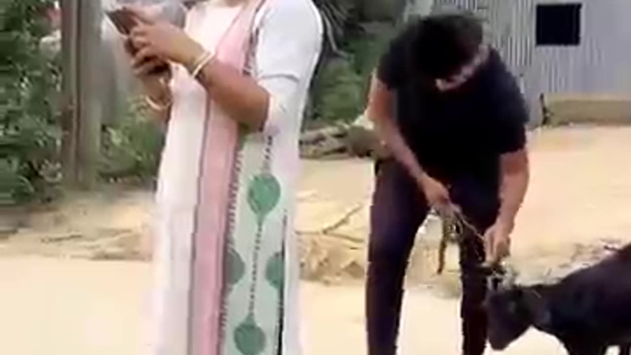 Viral funny video