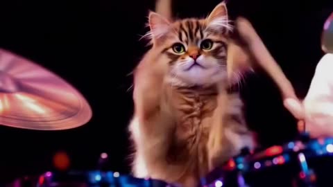 Cats Funny Singer ।। Comedy।।#shorts #shortfeeds #rumbleshorts #viral #trending