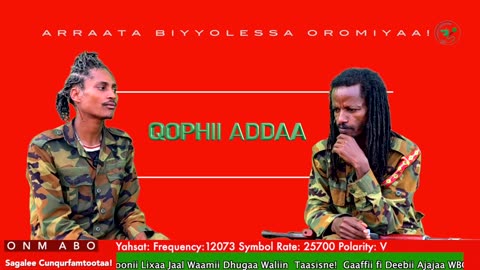 Qophii Addaa ONM-ABO Ebla 27-2025 itti dhiyaadhaa!
