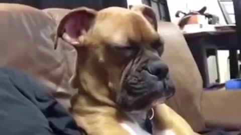 When you're over 40 and the movie starts.. 😂