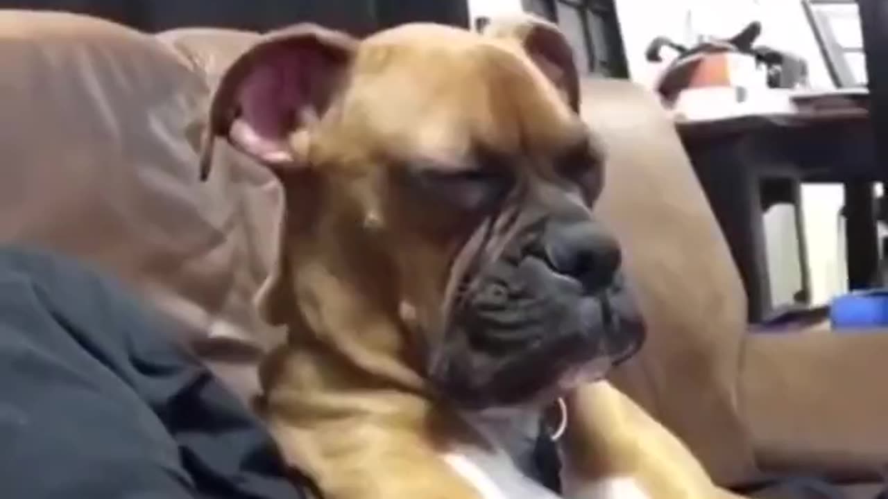 When you're over 40 and the movie starts.. 😂