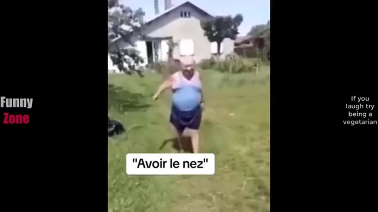 Funny video