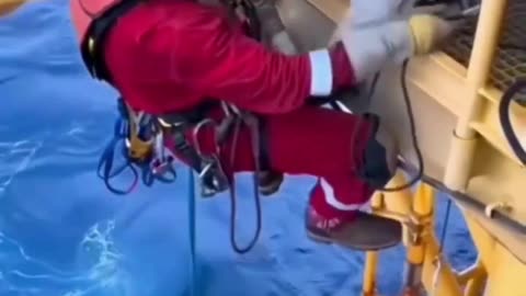 Is This Dangerous Job Worth $2000/Month? 🤔⚓