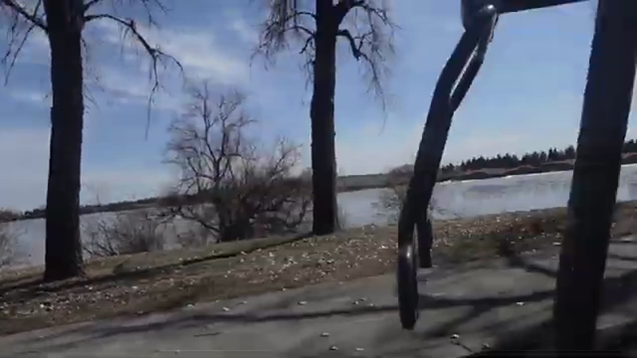 From Cardboard To High-quality: The Ultimate Weight Room Comparison