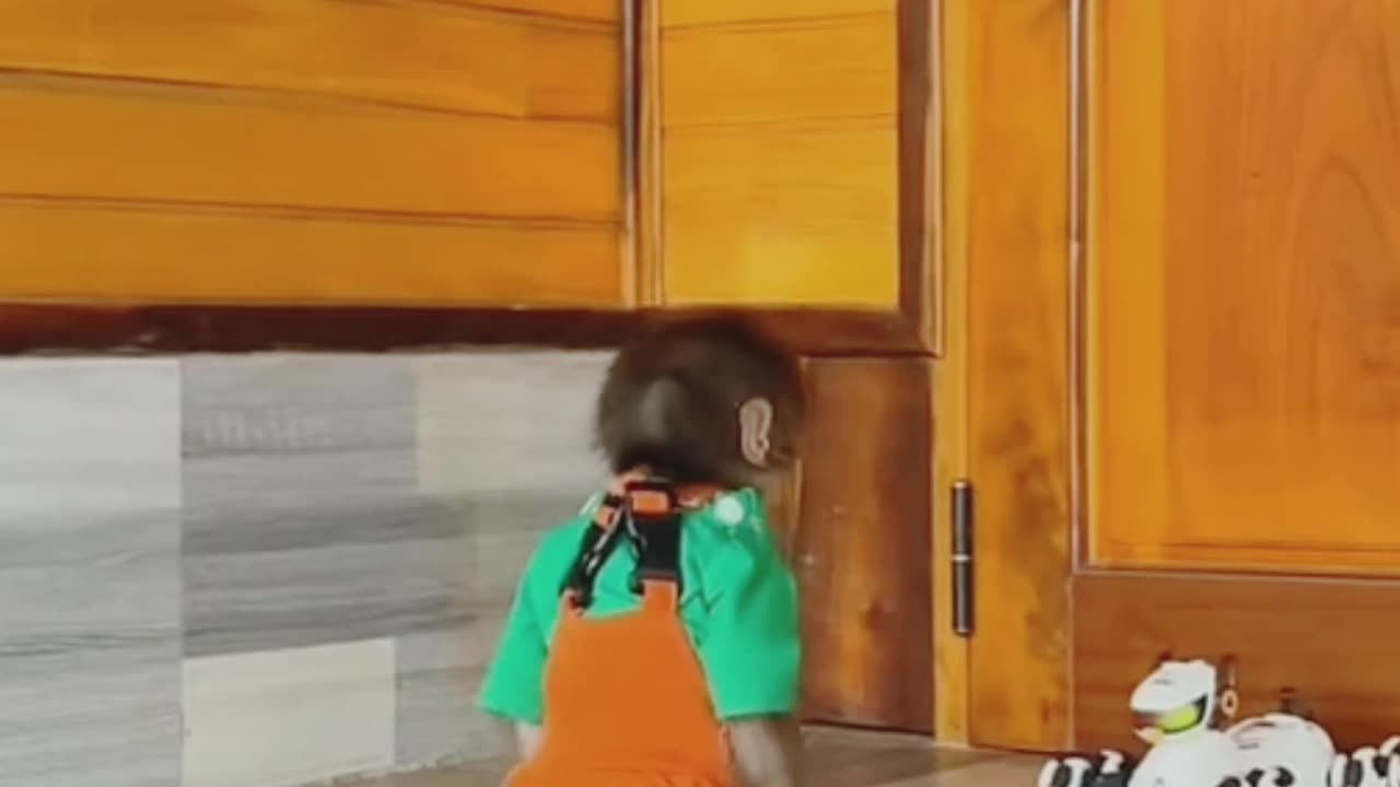 "Adorable Monkey Has a Toy Car Breakdown – Too Funny!"😍
