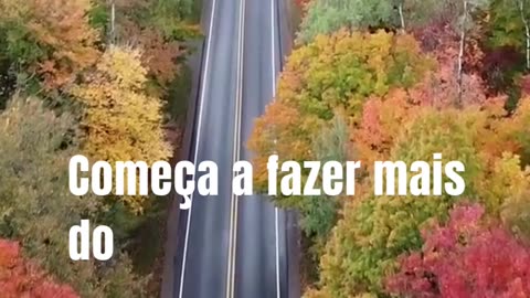 Motorista VIP
