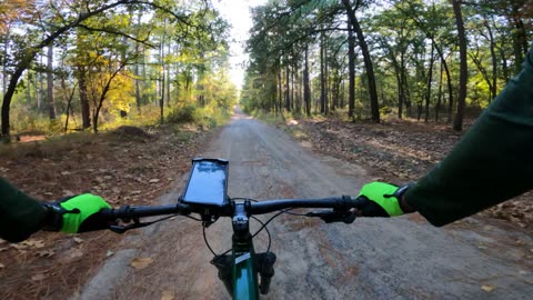 Downhill Lost In The Woods - 8