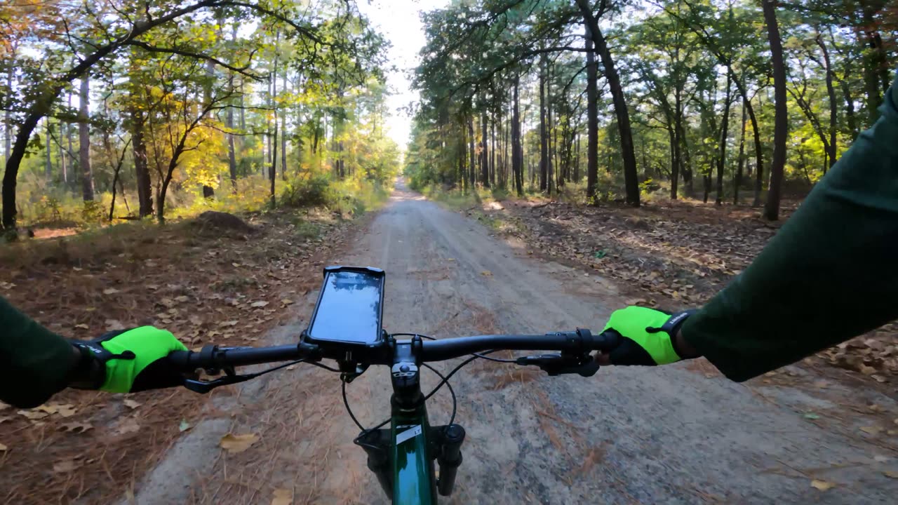 Downhill Lost In The Woods - 8