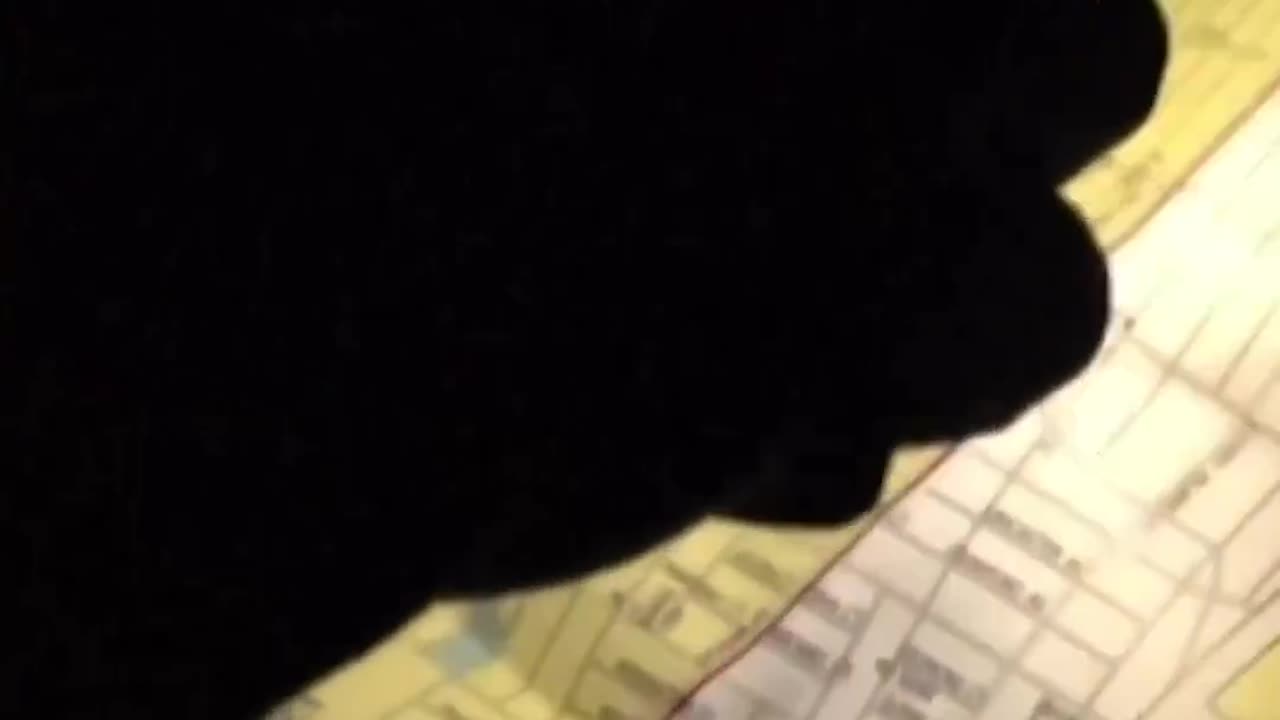 THEY’RE SPRAYING TOXIC PESTICIDES ACROSS NEW YORK WHILE YOU SLEEP