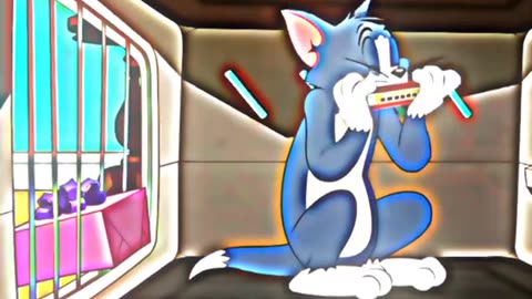 Tom & Jerry's Hilarious Sweet Quarrels Compilation