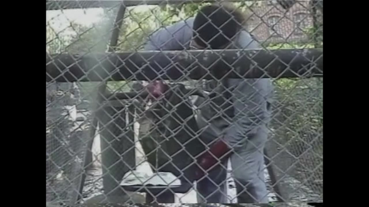 Milan Kohout, "Converting Hens to Christianity" Gdansk, Poland 2003