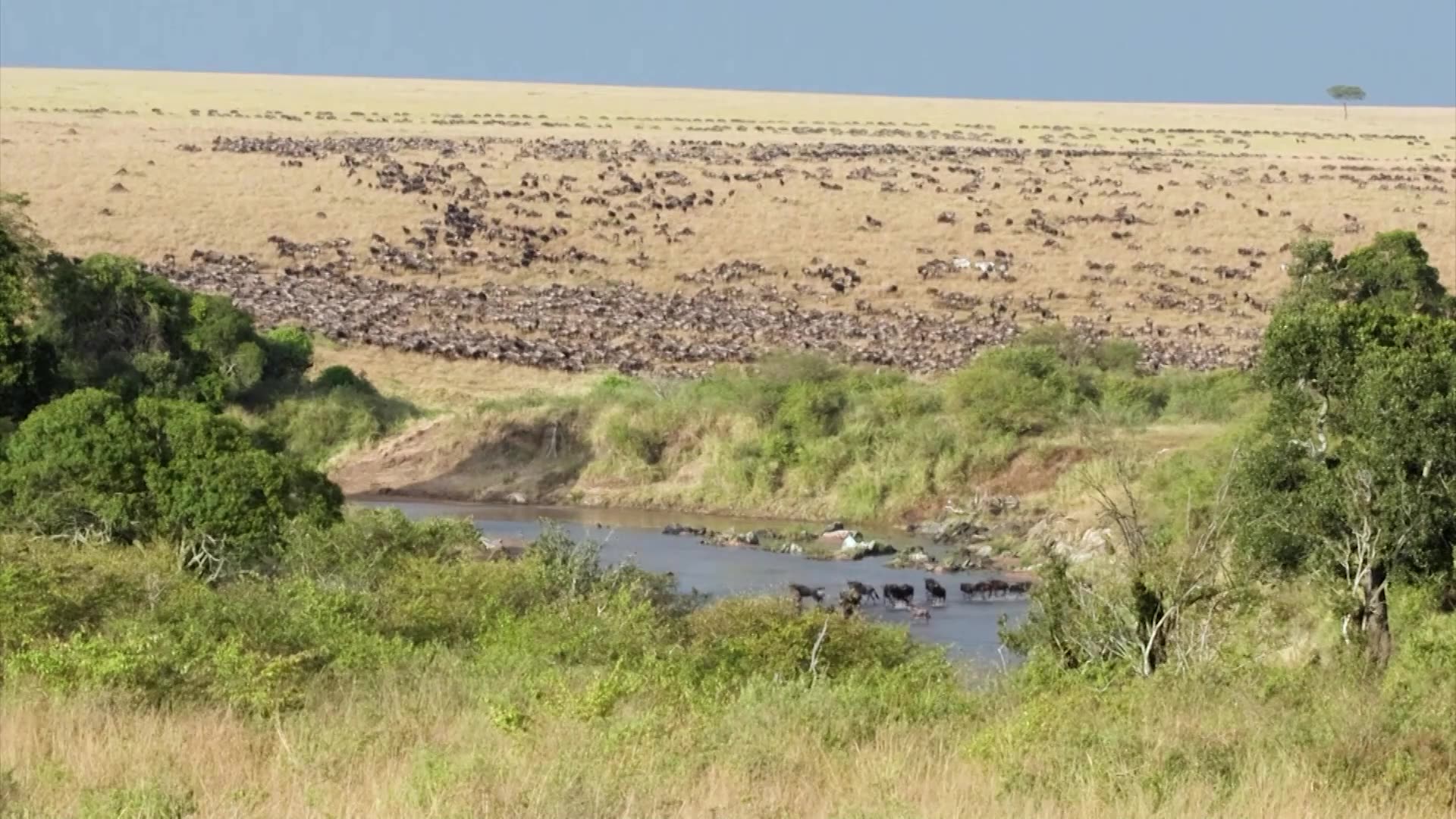 Kenyan activist sues to block Ritz-Carlton safari lodge opening