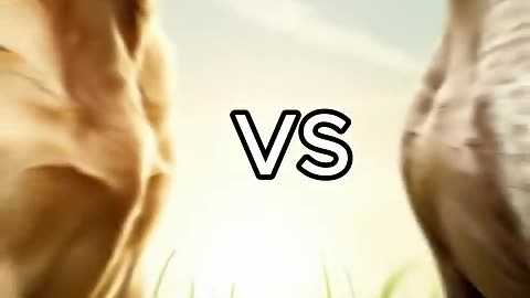 Rottweiler Puppy vs Pitbull puppy ( German Shepherd, Husky, Doberman, labrador retriever, Pointer).