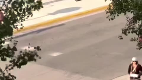 Dog Tries to Catch Tail… and Destroys Furniture Instead