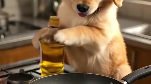 Puppy & Dolphin: The Ultimate Friendship That's Talking Over the Internet!