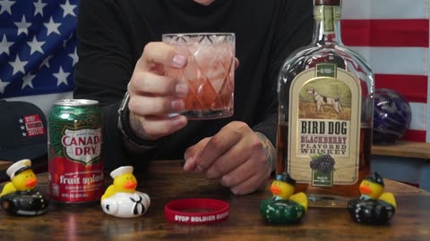 David Fehrenbacher - Bird Dog Blackberry Whiskey & Canada Dry Fruit Splash