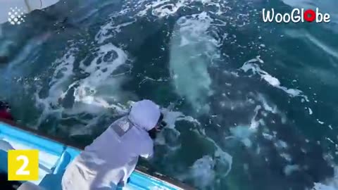 Trending: 15 Insane moments at sea - The sea can be a SCARY place!