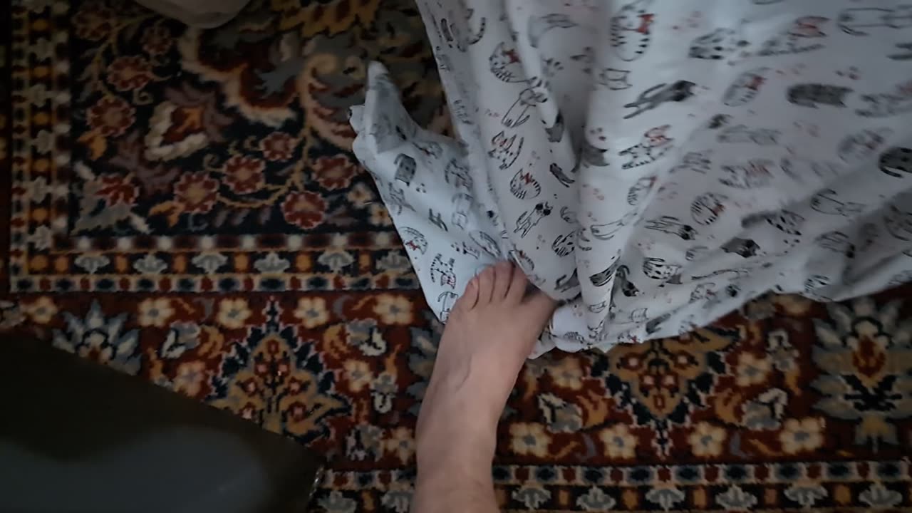 😂🐈 Jack Catington's Toe-Hunting Adventures! | FunFM