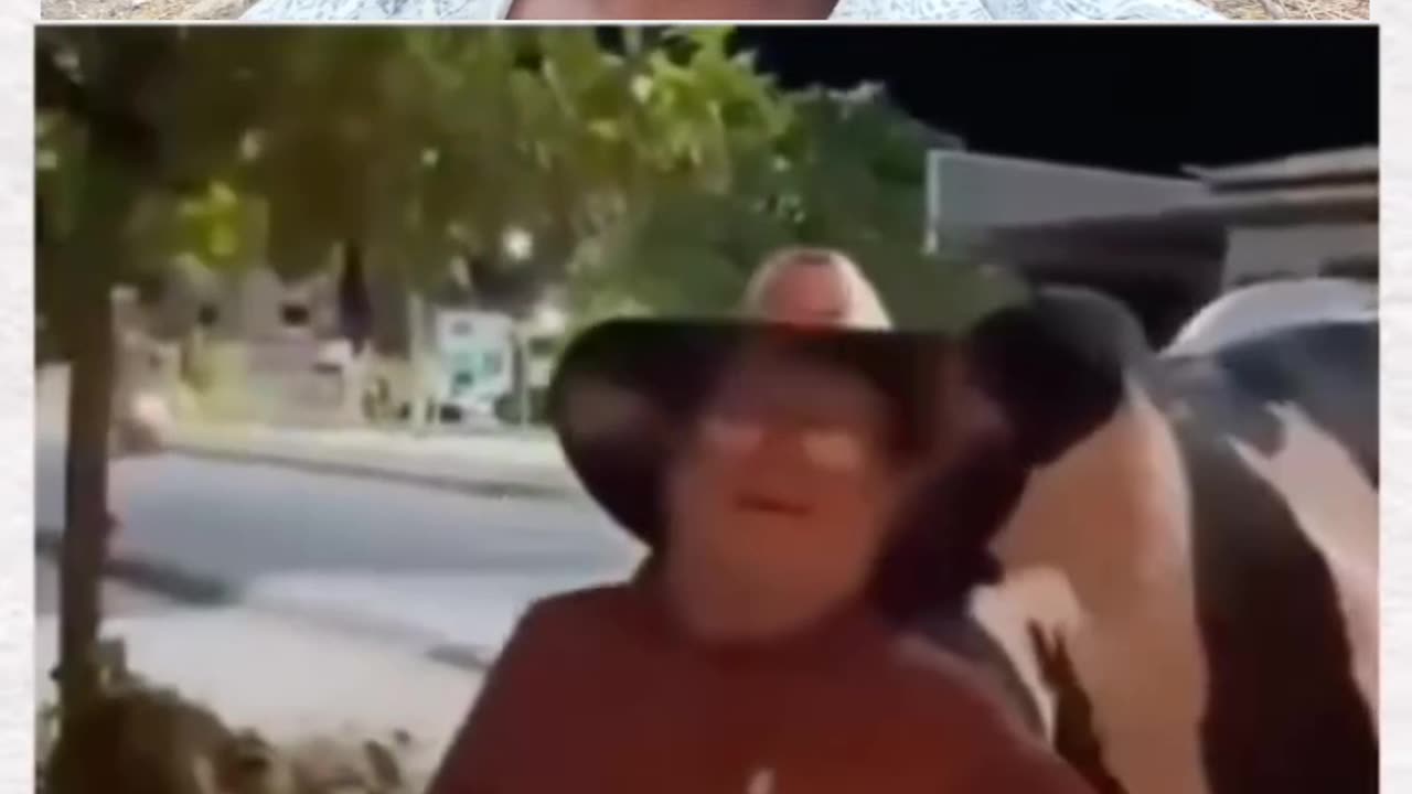 Dekhiae mere dost Janwar kitna padhar hai apne daru piyo hai Malik ko kaise Ghar lekar ja raha hai