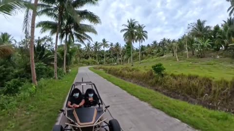 Palm shadows. Clear skies. Smooth roll.